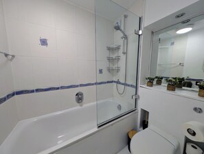 Hair dryer, towels, soap, toilet paper