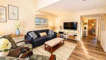Smart TV, DVD player, books, stereo