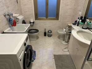 Shower, hair dryer, bidet, towels - CORTICELLA PONDS (Bologna)