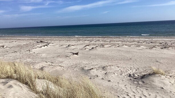 A beach with sand and sparse vegetation. - 6 Person Holiday Home in Vaeggerlose (Vaeggerlose)