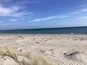 A beach with sand and sparse vegetation. - 6 Person Holiday Home in Vaeggerlose (Vaeggerlose)