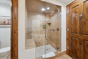 Hair dryer, towels, soap, toilet paper - Cozy studio condo located in fabulous Aspen (Aspen)