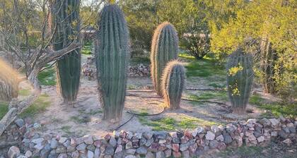 Desert Studio Apt. Located 5 Minutes East of I-10: Serene Comfort
