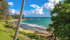 Une vue sur la côte, avec un ciel dégagé, des palmiers et une plage.