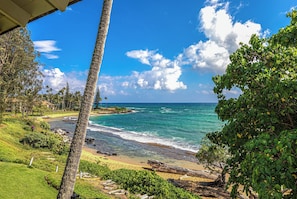 A coastal view with a clear sky, palm trees, and a beach.