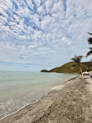 Ein Strand mit klarem Wasser, sandigem Ufer und einer Palme.