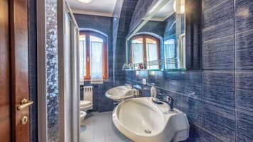 Shower, hair dryer, bidet, towels