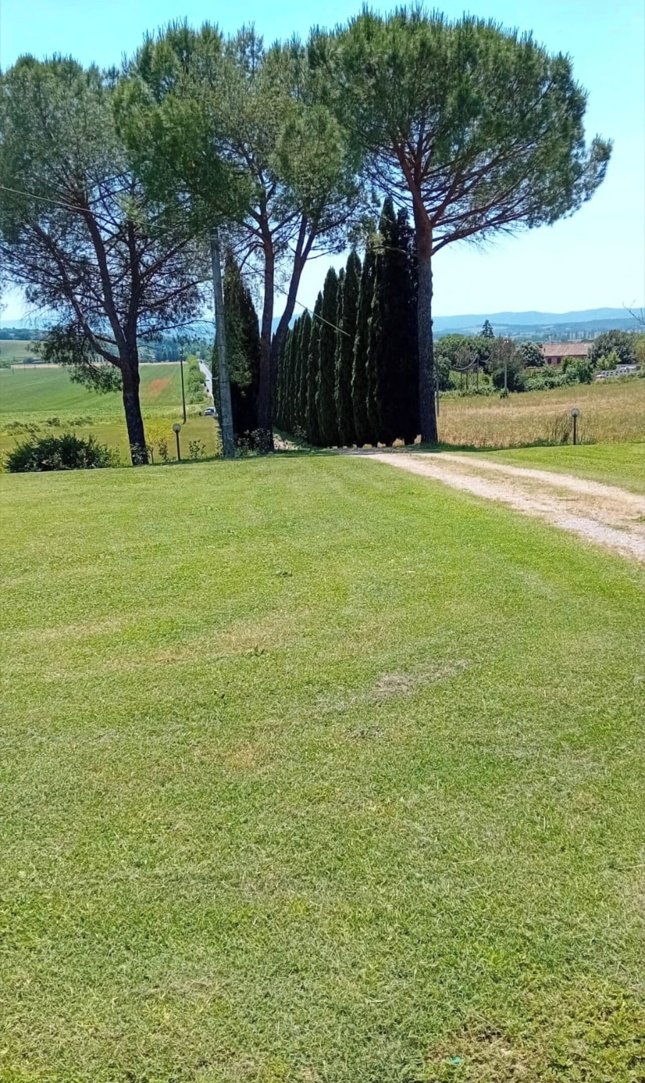 Parco della struttura