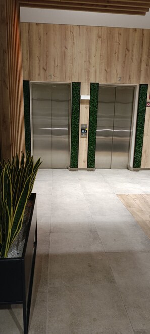 Zona de ascensores con dos elevadores, un panel de madera y una planta en maceta.