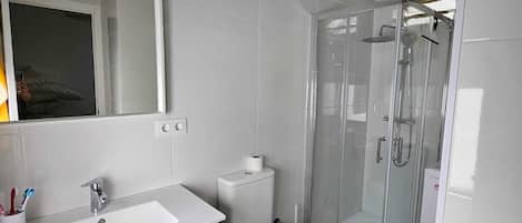 Shower, towels, toilet paper