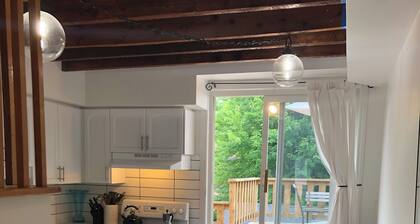 Spacious 1 bedroom apartment