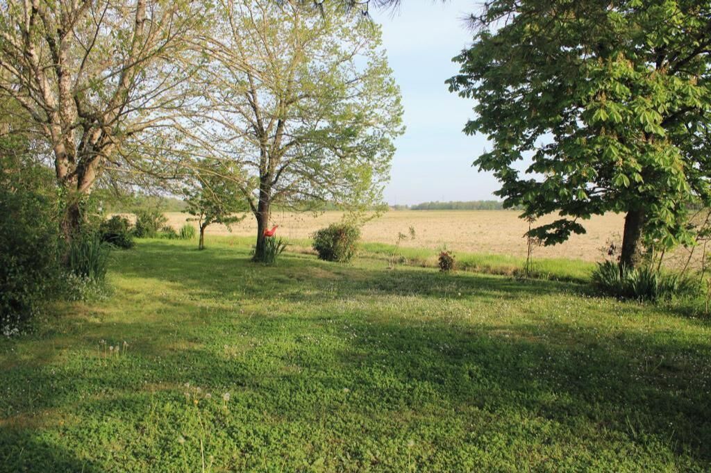 A grassy field with trees and shrubs.