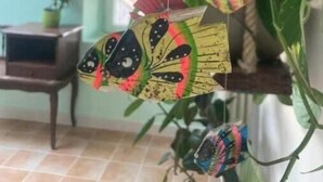 Een kamer met een decoratie van kleurrijke, vlinderachtige versieringen.