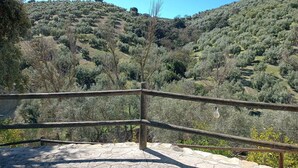 A stone pathway leading to a wooden fence overlooking a hilly landscape with dense vegetation. - Andalusian Villa - Family Gatherings, Group Retreats & Nature Escapes (Iznajar)