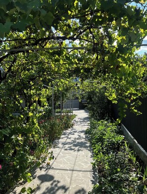 Property grounds - Memory House (Aspindza)