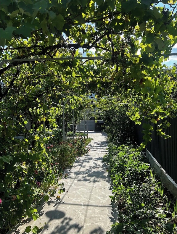 A pathway flanked by lush greenery and a metal fence.