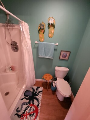 Douche, séchoir à cheveux, bidet, savon
