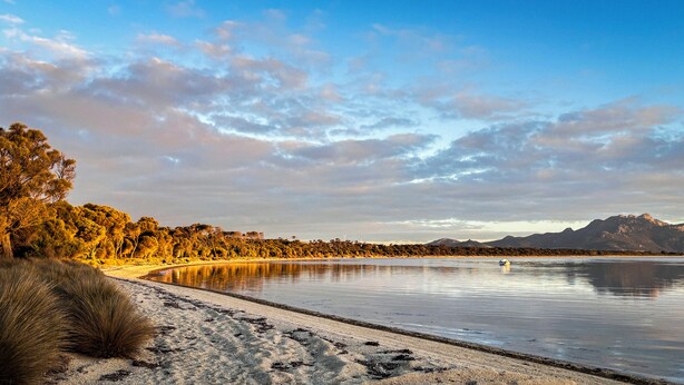 Ein Strand mit einem ruhigen See, Bäumen und Bergen im Hintergrund.