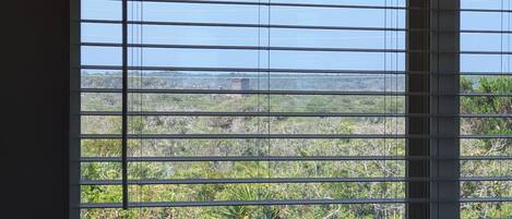 Una ventana con persianas horizontales, vista a un paisaje natural con vegetación y una estructura distante.