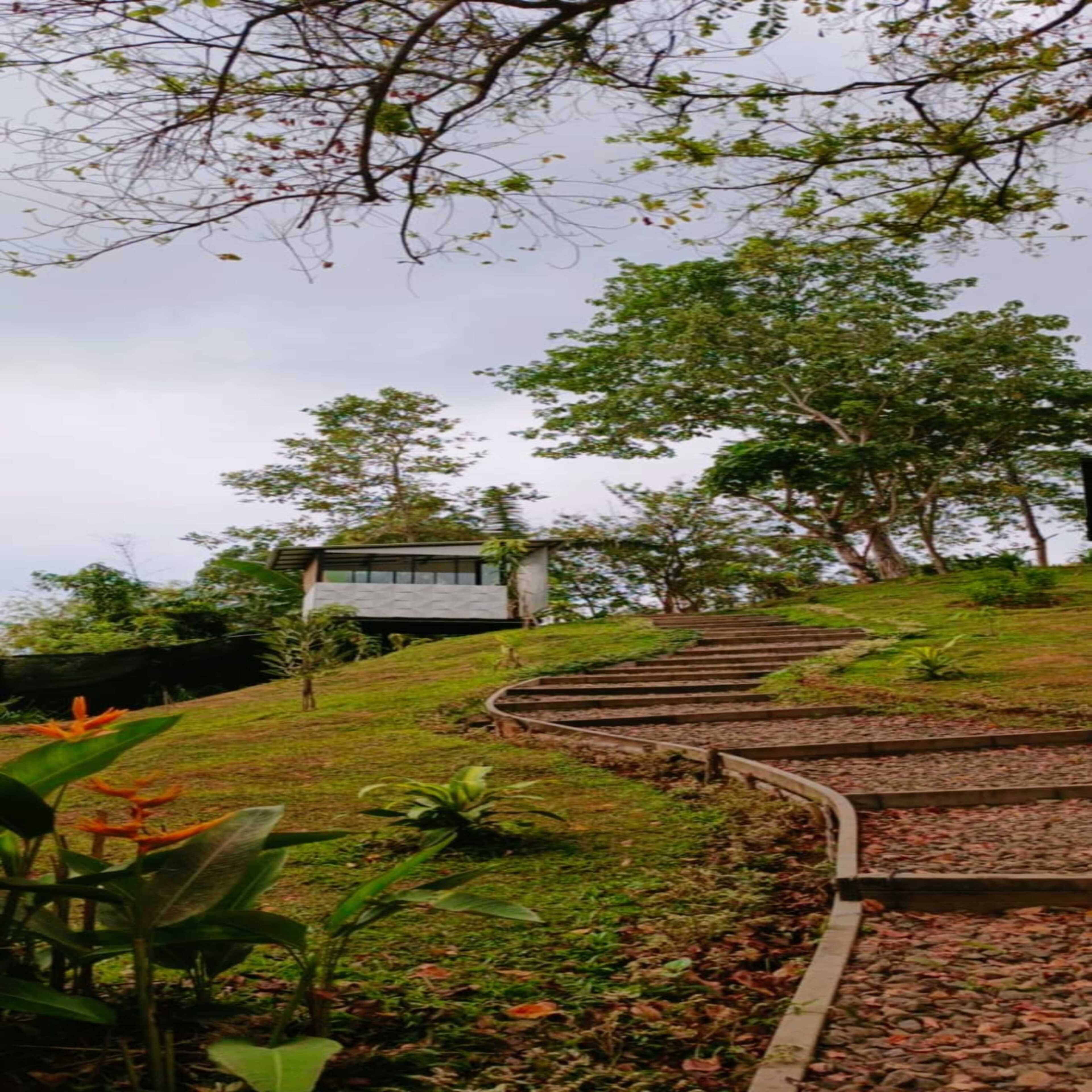 Deluxe Bungalow | View from room