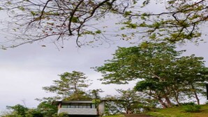 A pathway leading to a building surrounded by trees and greenery.