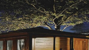 A wooden cabin with a stone wall, a ladder, and a tree in the background.