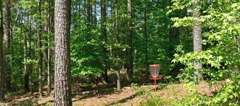 A Reel Peach: Cozy Lake Sinclair getaway, sleeps 8, dog-friendly.
