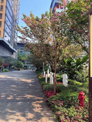 A pathway lined with trees and flowers, leading to a building with multiple floors. - IntercityHotel Chengdu Financial City Twin Towers (Chengdu)