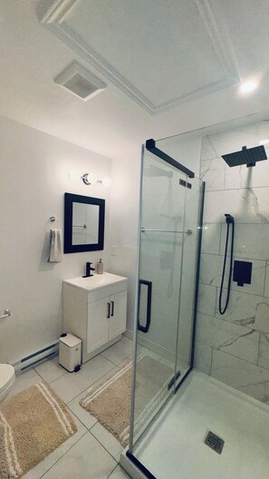 Shower, hair dryer, towels, soap - Modern Spacious 3 bedrooms plus 2.5 bath in Dieppe (Dieppe)