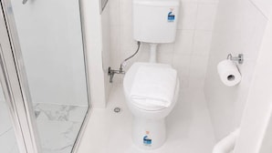 Une salle de bain moderne équipée de toilettes, d’un bidet et d’une douche.