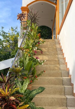 Un escalier en pierre, bordé de plantes et de fleurs en pot.