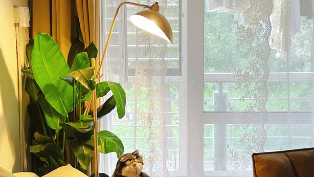 Ett rum med en soffa, en lampa, en stol och en stor växt.
