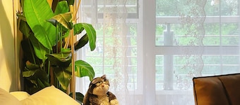 Lizi Guesthouse and FamilyApartment Nearby Temple of Heaven 5mins walk to subway