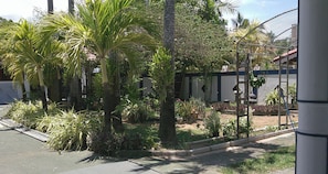 A courtyard with palm trees, potted plants, and a metal fence.