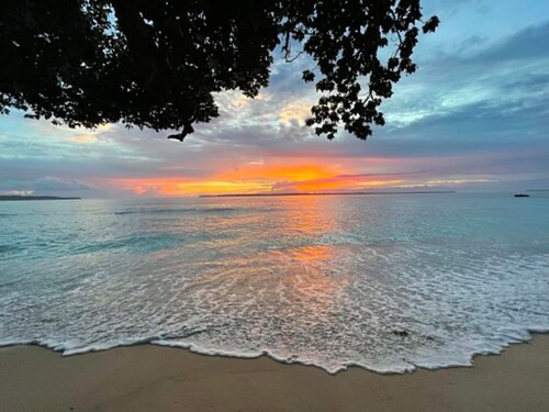 Beachfront property on 2 acres for only one bungalow.