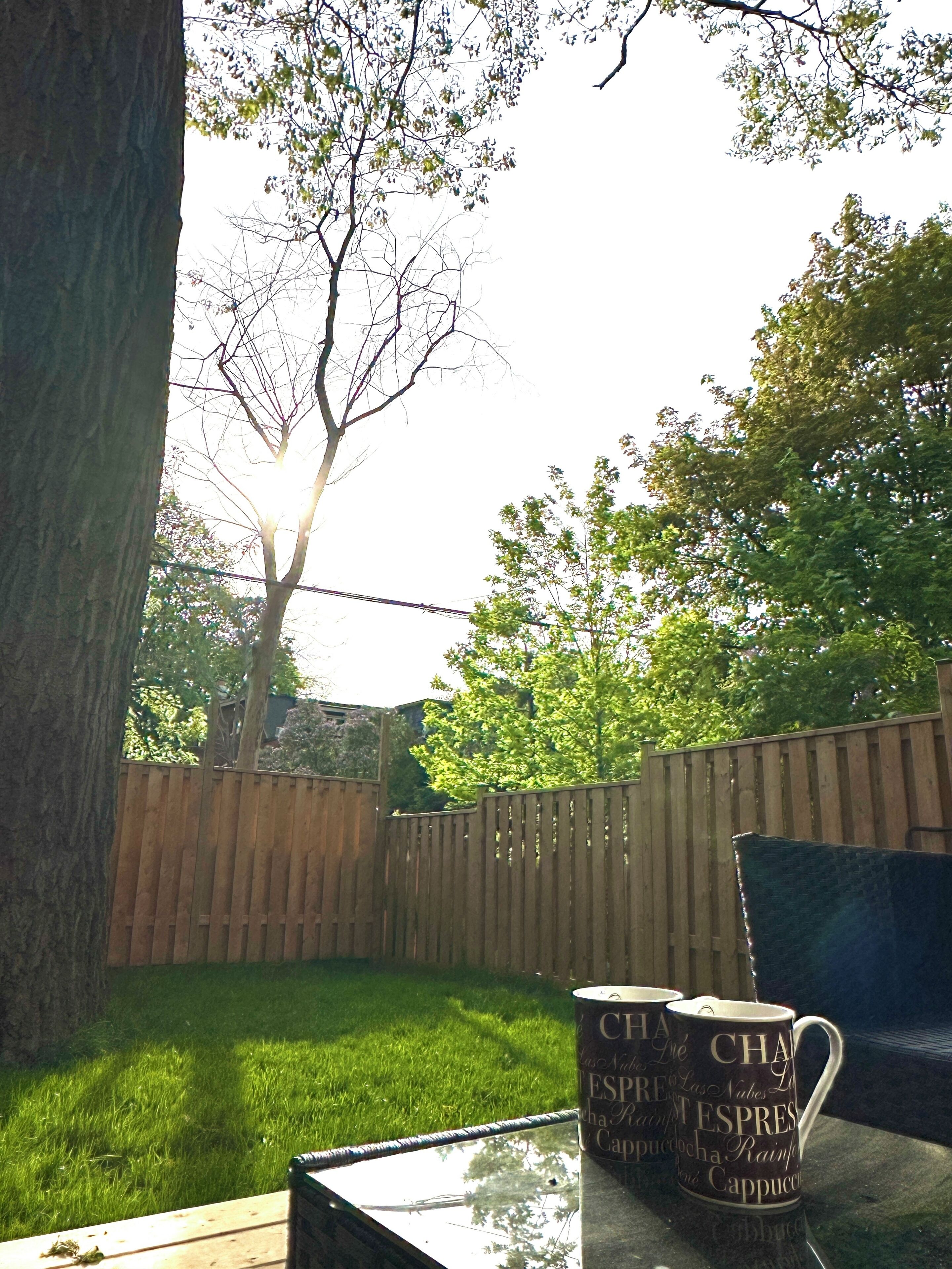 A patio area with a wooden fence, a table with two coffee mugs, and a tree in the background.