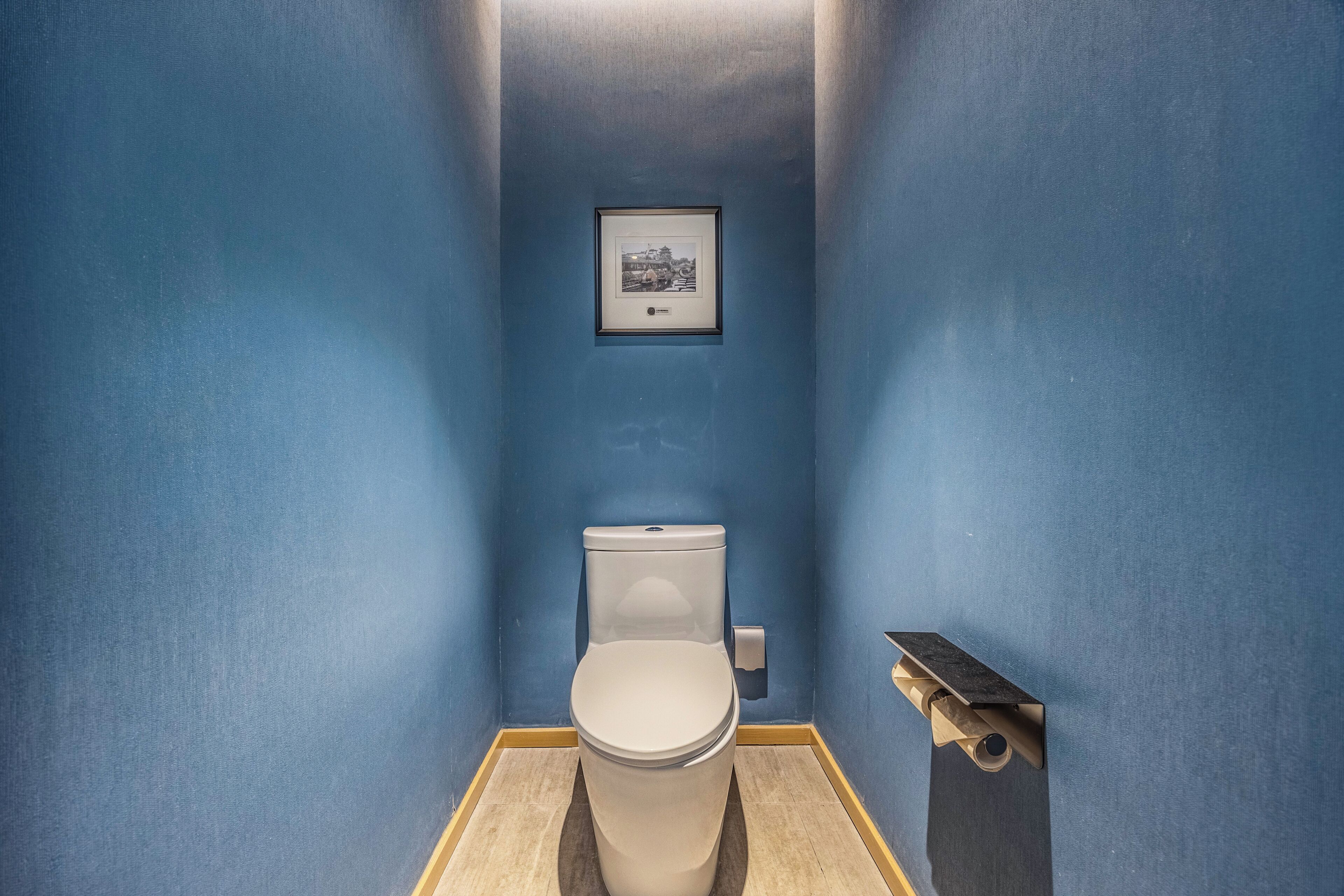 Un baño pequeño con inodoro, un cuadro en la pared y un dispensador de papel higiénico.