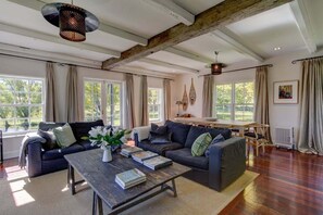 TV, fireplace, books