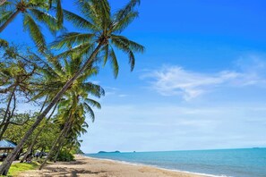 A beach with palm trees, a clear sky, and calm sea. - Oceanfront Gem at Trinity Beach - Pool - Sea View (Trinity Beach)