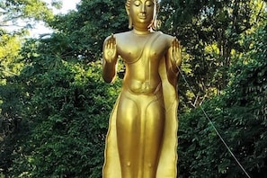 A golden statue of a seated figure with hands in a gesture of blessing, surrounded by dense foliage.