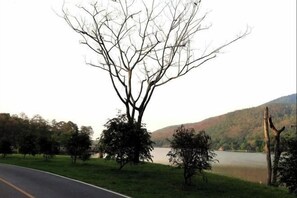 Miscellaneous - CHILLI'S Home (Mae Rim)