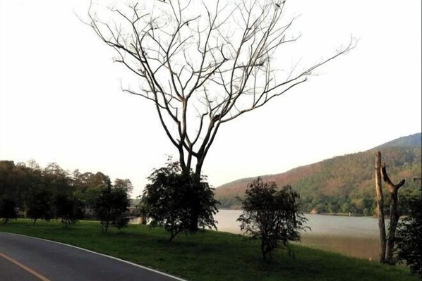 Miscellaneous - CHILLI'S Home (Mae Rim)