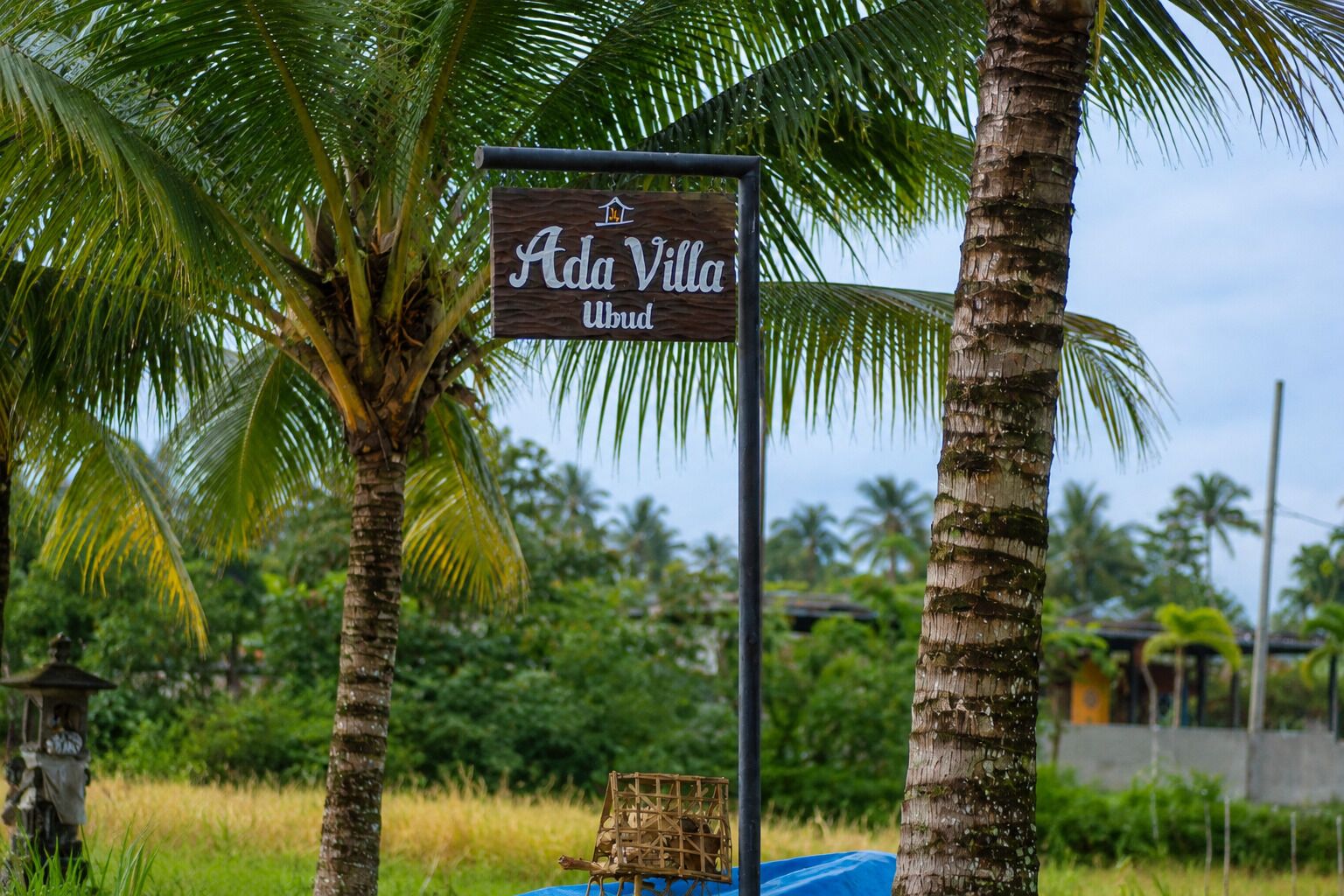 Señal de 'Ada Villa Ubud' con fondo de madera y letras blancas, rodeada de palmeras y follaje.