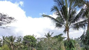 Una piscina rectangular con un borde de baldosas, rodeada de follaje tropical y palmeras.