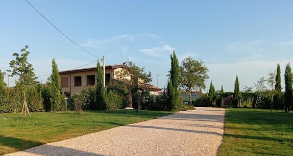A gravel driveway leading to a building surrounded by greenery and trees.