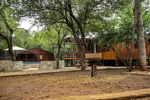 Property grounds - Bush break Marloth Park (Marloth Park)