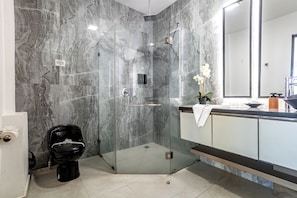 Shower, hair dryer, towels