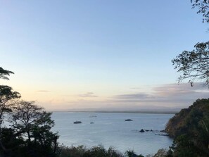 Miscellaneous - Suite 3  Pool Ocean View Room Costa Rica (Manuel Antonio)