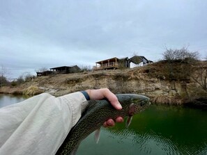 Een persoon houdt een vis vast bij een waterlichaam, met een huis op de achtergrond.