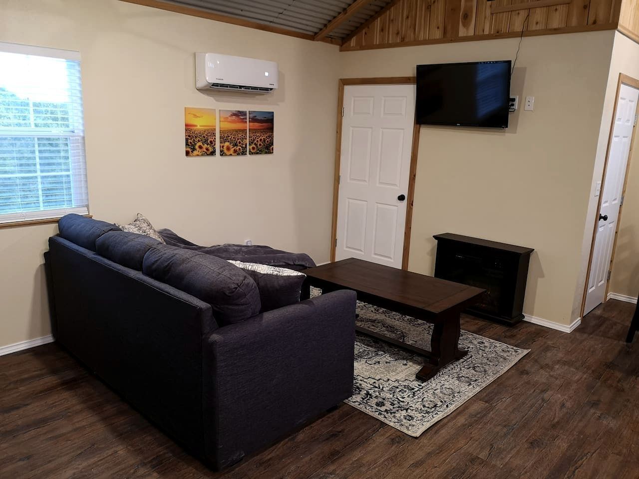 TV, fireplace